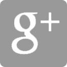 google-plus-grey-white-rectangle